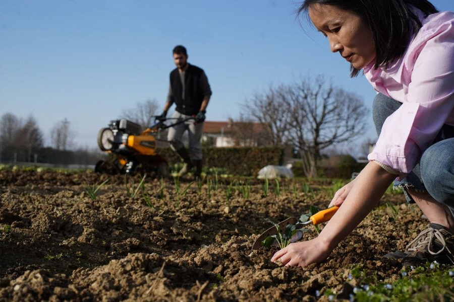 herramienta manual de jardinería - paleta trasplantadora
