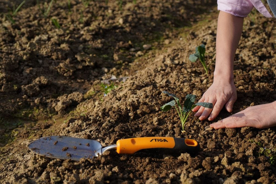 herramienta manual de jardinería - paleta trasplantadora