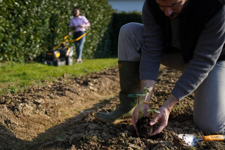 herramienta manual de jardinería - paleta trasplantadora