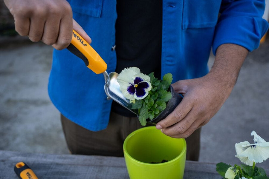 herramienta manual de jardinería - paleta trasplantadora