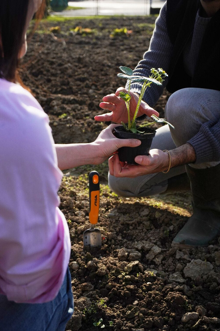 herramienta manual de jardinería - paleta trasplantadora