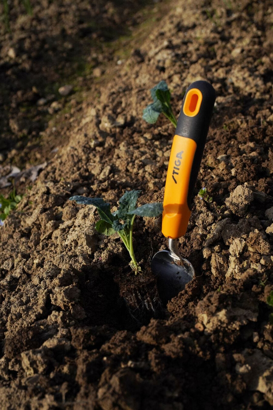 herramienta manual de jardinería - paleta trasplantadora